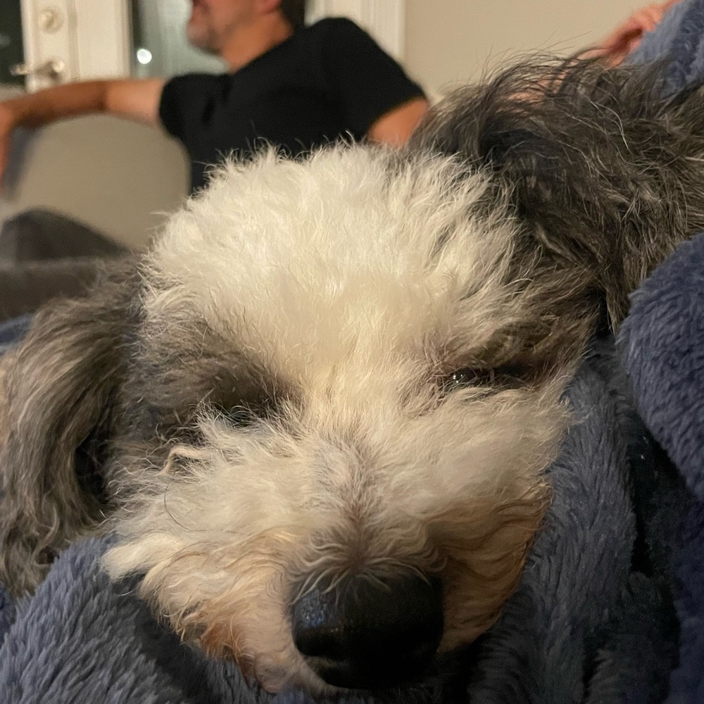 Meet your Posher, Luciana